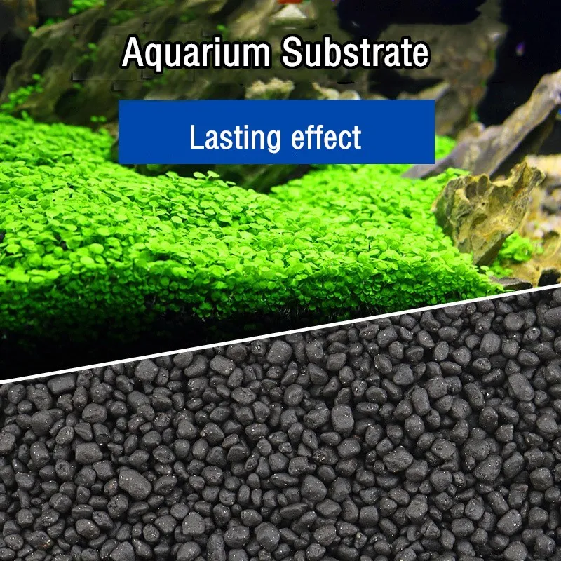 Planted Aquarium With Sand - Substrato de Solo Plantado para Aquário