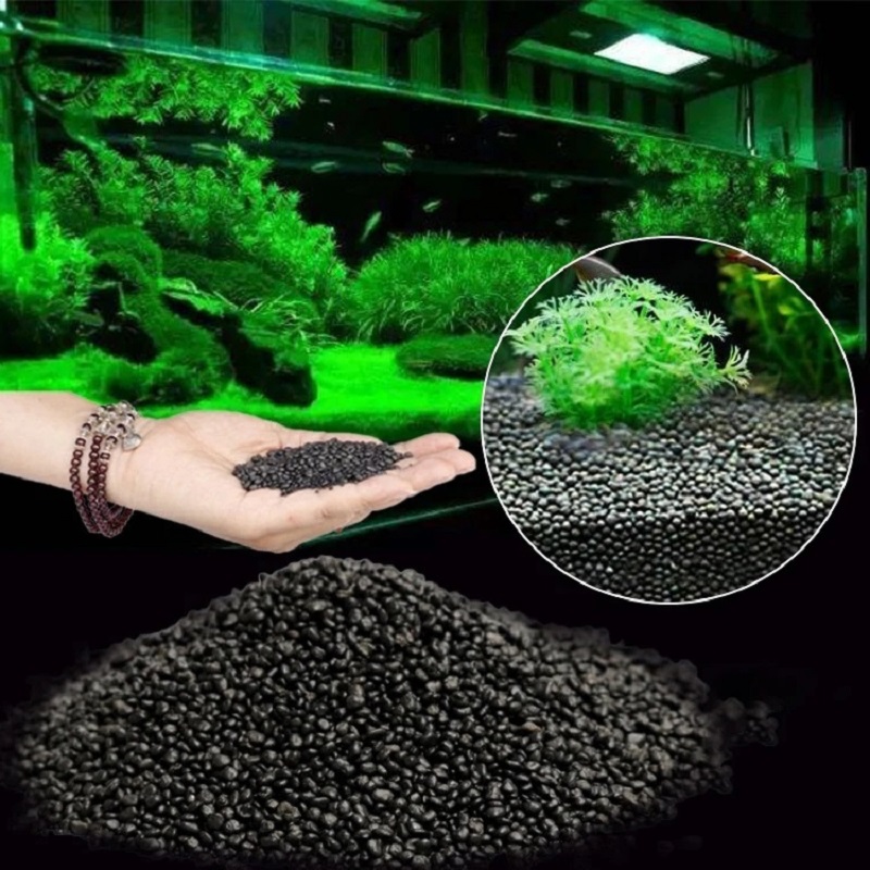 Planted Aquarium With Sand - Tanque de peixes água grama lama