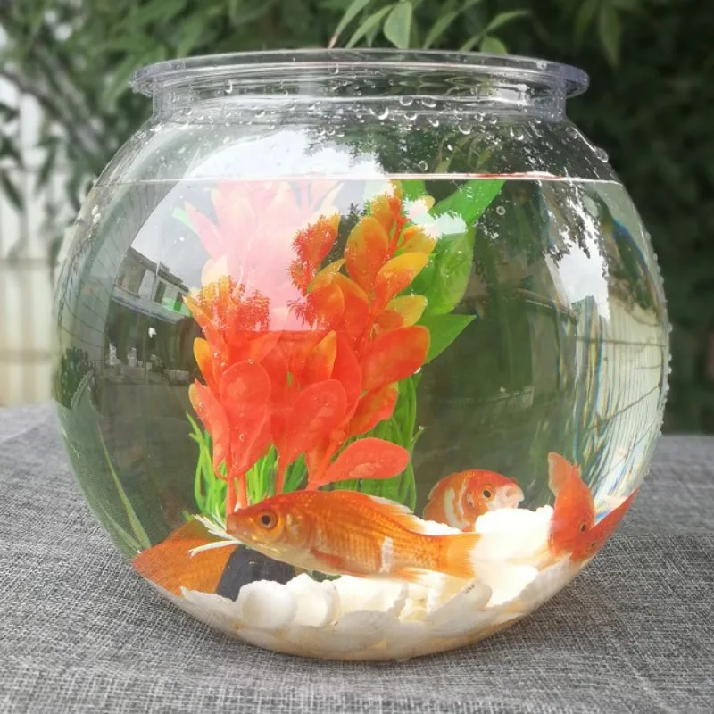 Planted Aquarium For Goldfish - Tanque goldfish, aquário de plástico transparente,