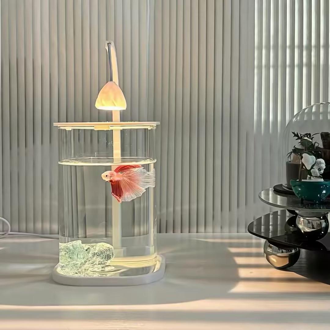 Planted Aquarium For Goldfish - 360 ° Aquário Panorâmico Transparente para