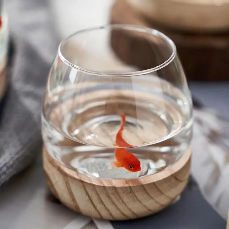 Planted Aquarium For Goldfish - Tanque de peixes de vidro redondo