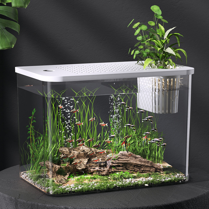 Planted Aquarium For Goldfish - Aquário de plástico com tampa, mini