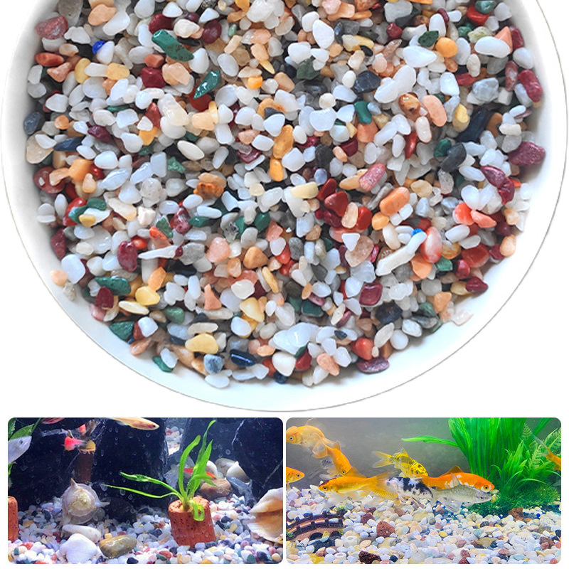 Planted Aquarium With Sand - Pedra de cascalho natural 200 ~