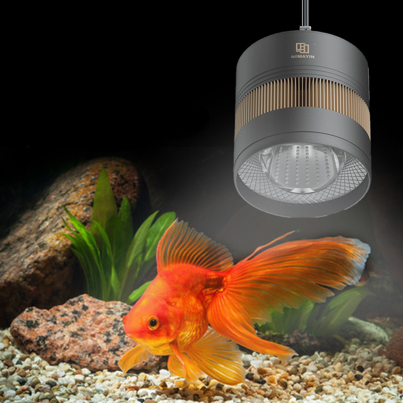 Planted Aquarium For Goldfish - Mayin aquário espectro completo led downlight