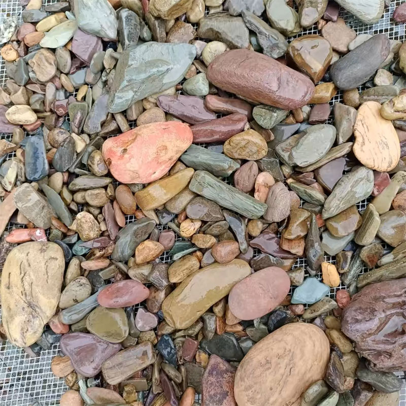 500g fundo do tanque de peixes - Planted Aquarium With Sand avaliação e preço