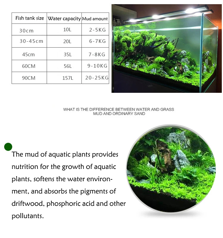 Tanque de peixes água grama la - Planted Aquarium With Sand avaliação e preço