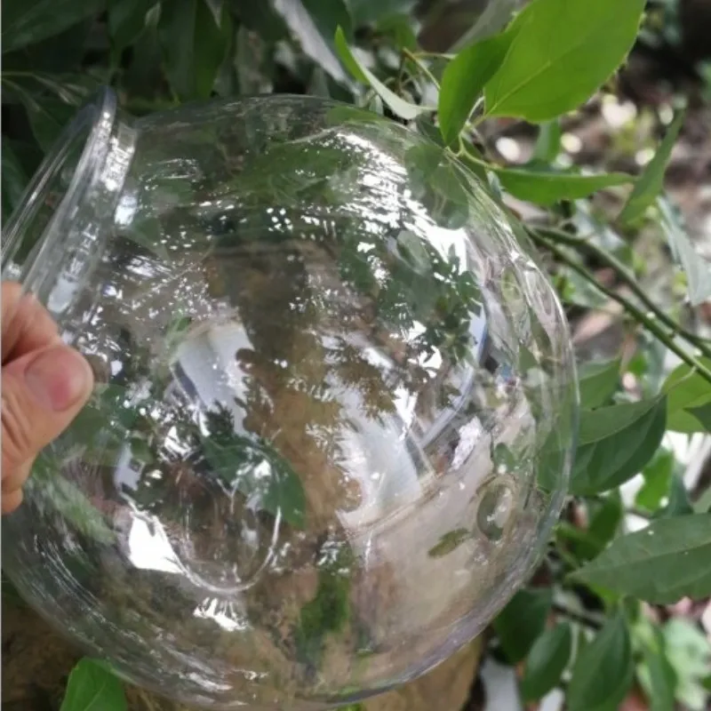 Tanque goldfish, aquário de pl - Planted Aquarium For Goldfish avaliação e preço