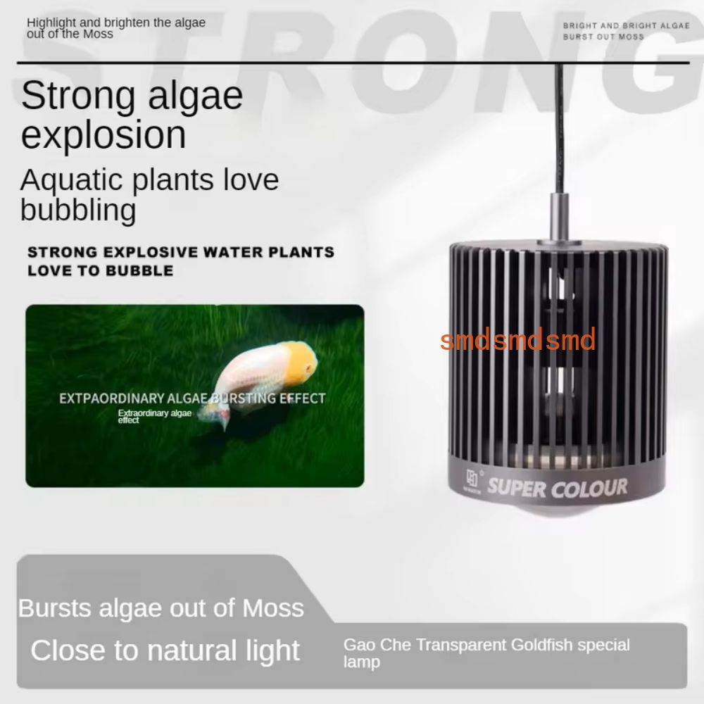 Super cor 100w de água doce pe - Planted Aquarium For Goldfish avaliação e preço