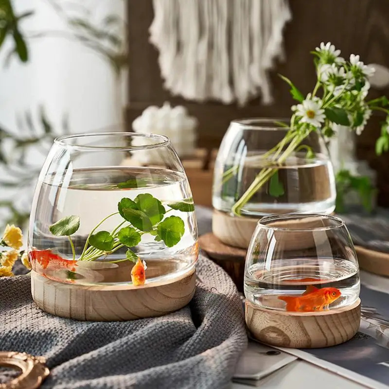 Tanque de peixes de vidro redo - Planted Aquarium For Goldfish avaliação e preço
