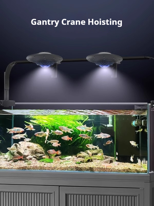 Luz para Aquário UFO Fish, Lâm - Planted Aquarium For Goldfish avaliação e preço