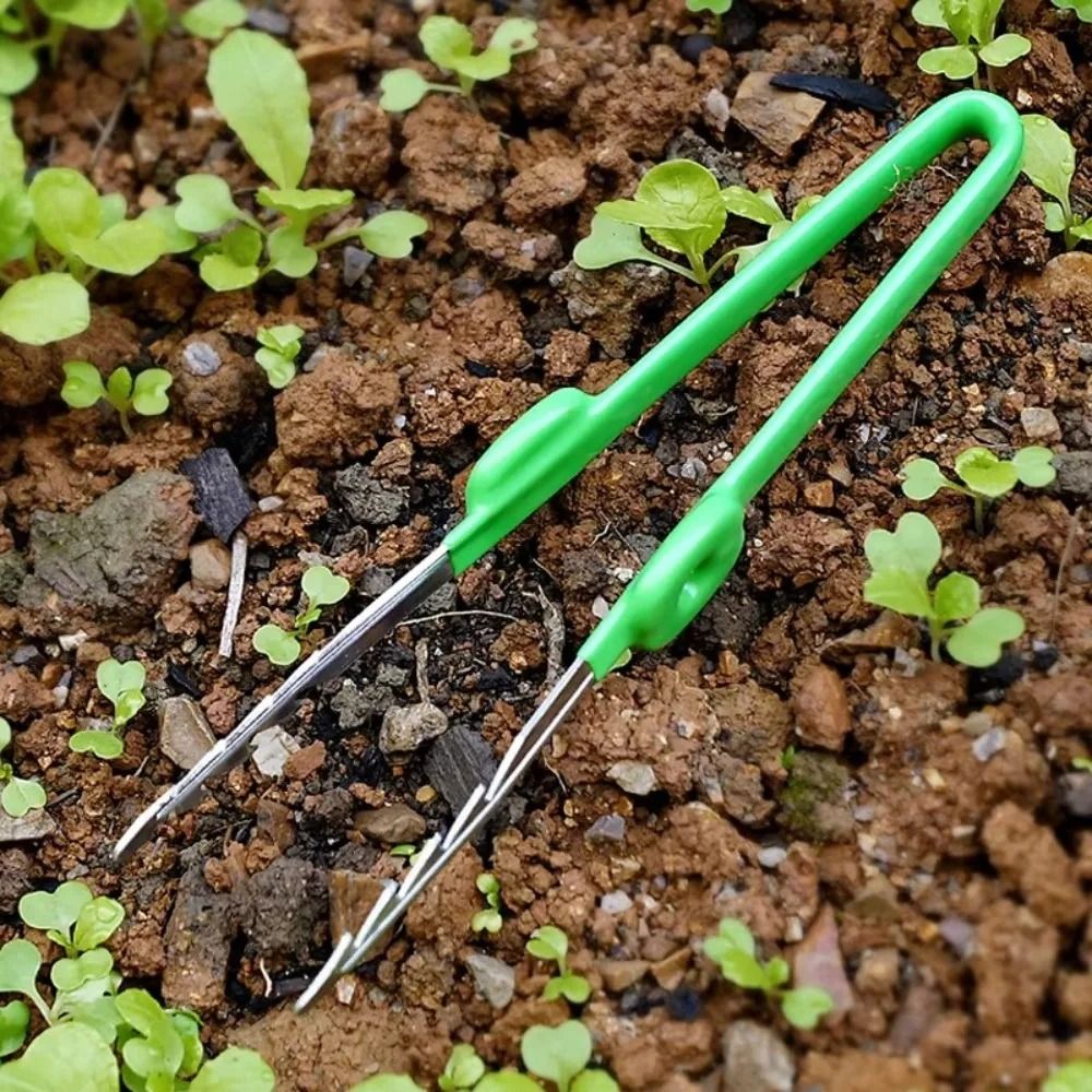 Pinça de Jardinagem em Aço Ino - Planted Clip Tweezers avaliação e preço