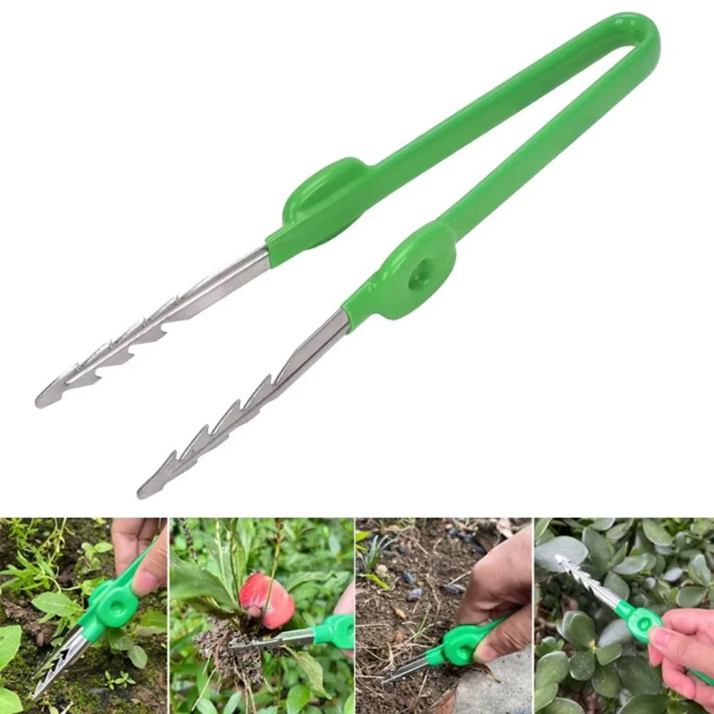Pinça de Jardinagem em Aço Ino - Planted Clip Tweezers avaliação e preço