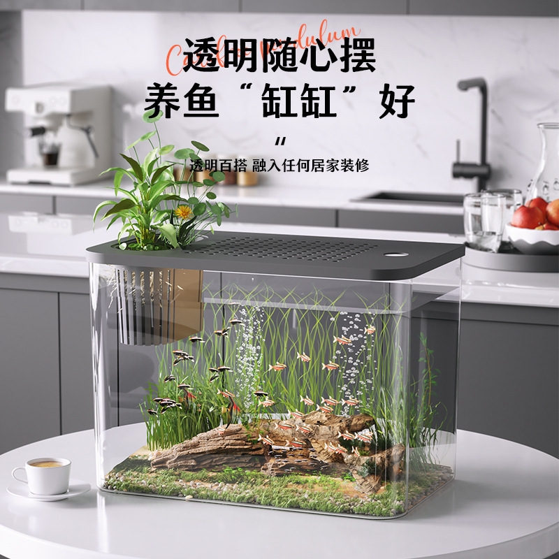 Aquário de plástico com tampa, - Planted Aquarium For Goldfish avaliação e preço