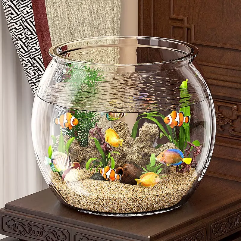 Aquário de Mesa Compacto de Pl - Planted Aquarium For Goldfish avaliação e preço