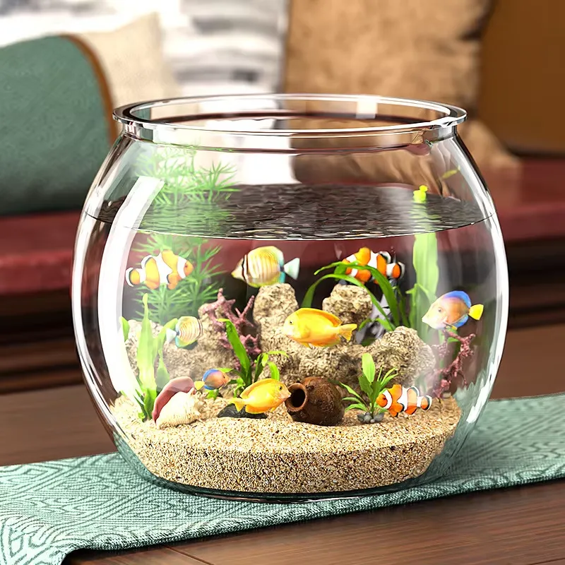Aquário de Mesa Compacto de Pl - Planted Aquarium For Goldfish avaliação e preço
