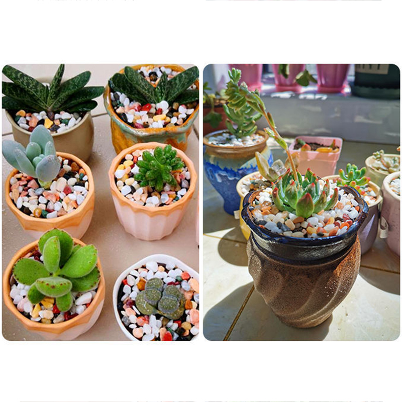 Pedra de cascalho natural 200  - Planted Aquarium With Sand avaliação e preço