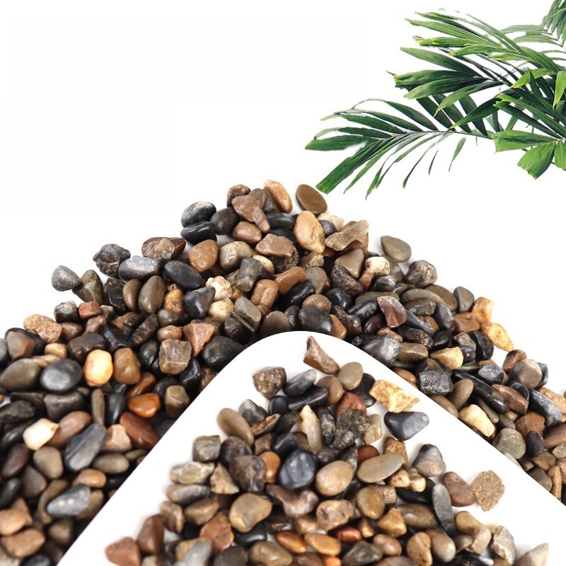 Seixos de Rio para Fundo de Aq - Planted Aquarium With Sand avaliação e preço