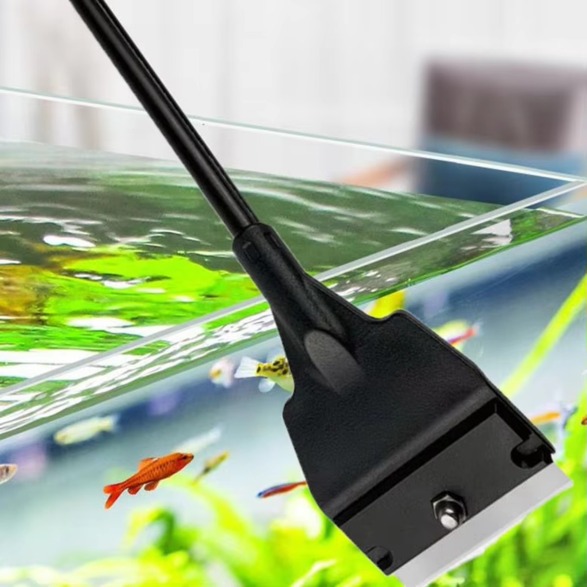 Raspador de Algas para Aquário - Planted Aquarium With Sand avaliação e preço