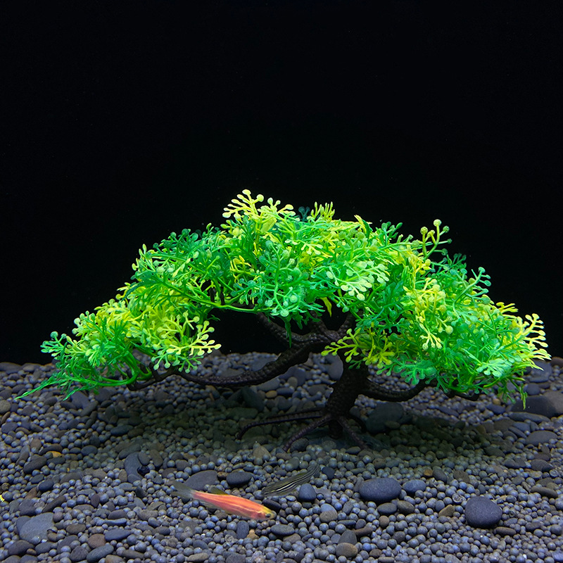 Árvore Bonsai para Aquário, Pl - Planted Aquarium For Goldfish avaliação e preço
