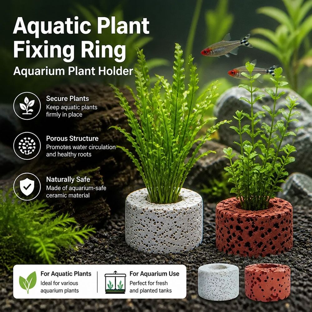10 Peças Anel Ponderado para F - Planted Aquarium Pictures avaliação e preço