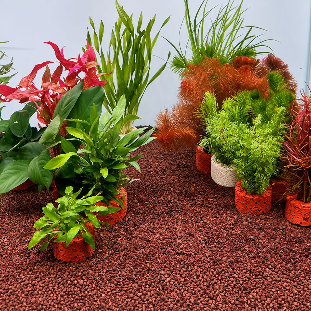 10 Peças Anel Ponderado para F - Planted Aquarium Pictures avaliação e preço