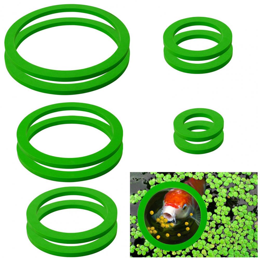 Anel flutuante de espuma eva p - Planted Aquarium For Goldfish avaliação e preço