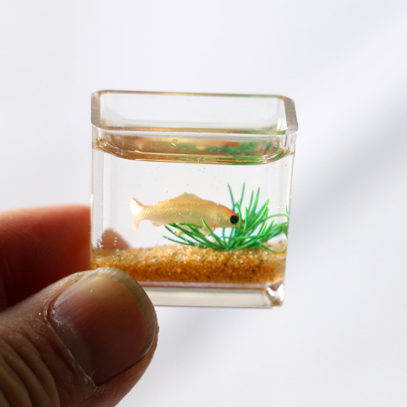 Mini Dollhouse Simulação Tanqu - Planted Aquarium Photos avaliação e preço