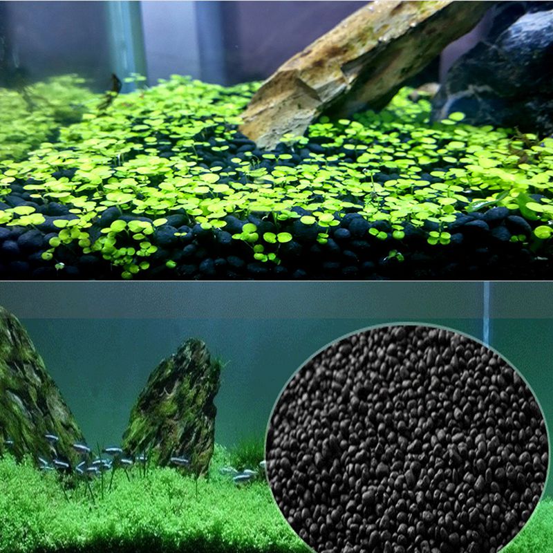 Areia de peixe auarium substra - Planted Aquarium With Sand avaliação e preço