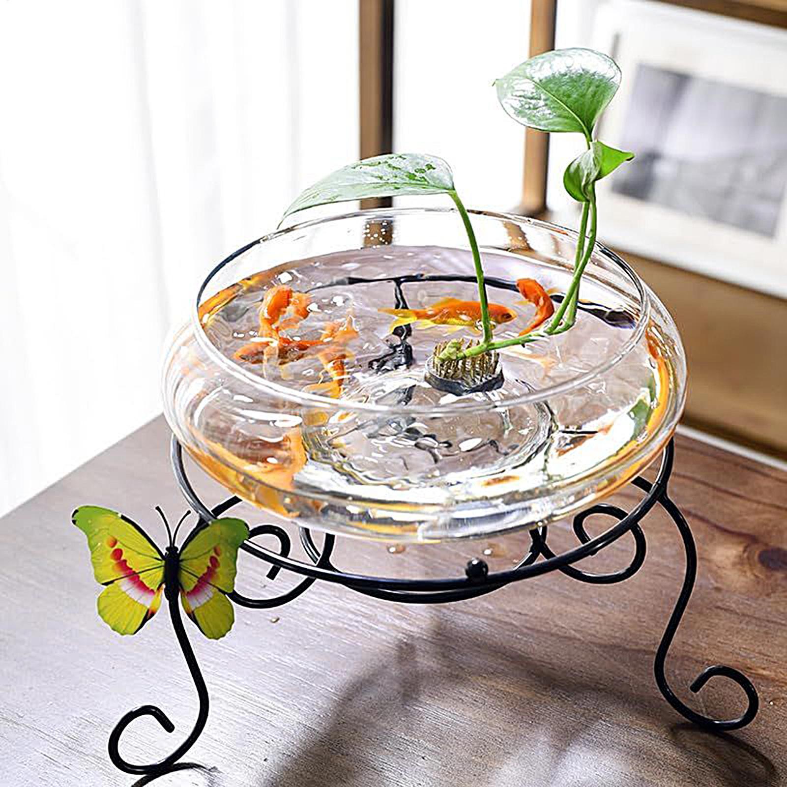 Vaso de Vidro para Peixes, Gra - Planted Aquarium For Goldfish avaliação e preço