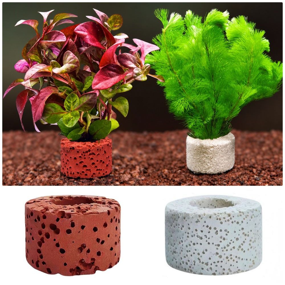 10 Peças Anel Ponderado para F - Planted Aquarium Pictures avaliação e preço